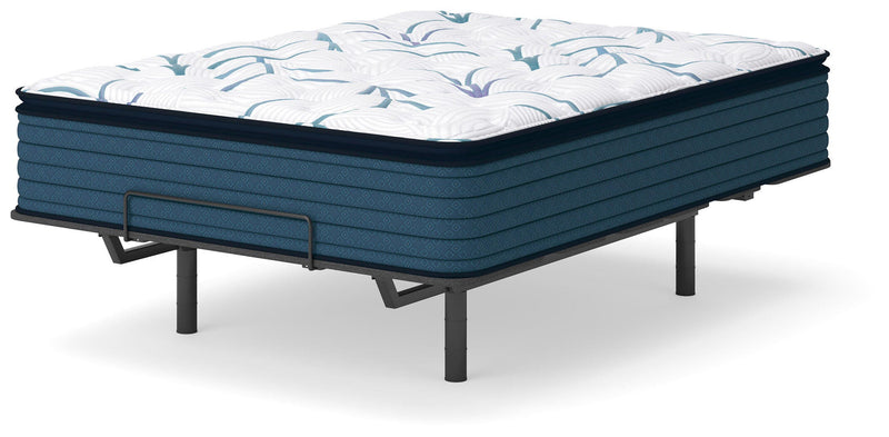 Limited Edition Plush PT Mattresses