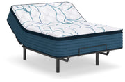 Limited Edition Plush PT Mattresses