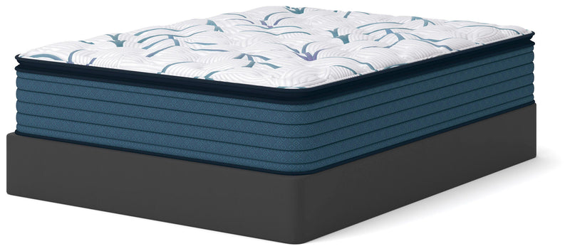 Limited Edition Plush PT Mattresses