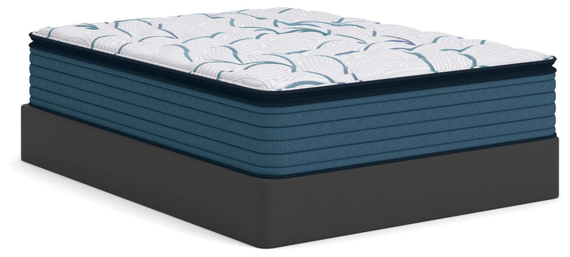 Limited Edition Plush PT Mattresses