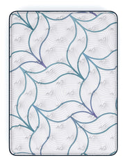Limited Edition Plush PT Mattresses