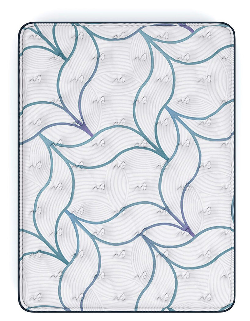 Limited Edition Plush PT Mattresses