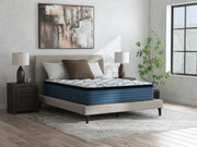 Limited Edition Plush PT Mattresses