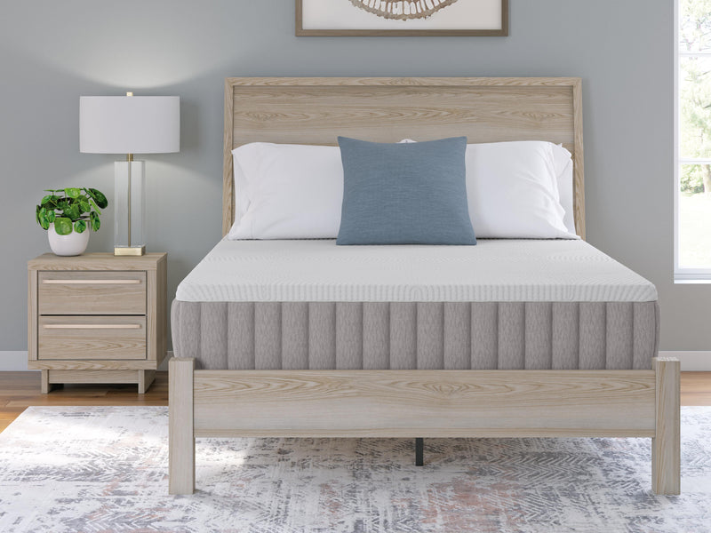 Terra Sleep FirmMattress