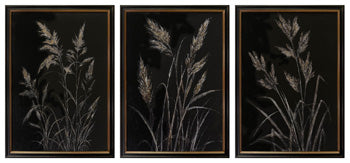 Janisburg Wall Art Set (3/CN)