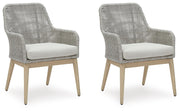 Seton Dining Chairs Creek Arm Chair With Cushion (2 CN)