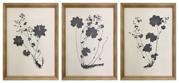 Huddwick Wall Art Set (3/CN) Default Title